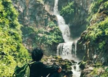 Di Punggung Sunyi Hutan