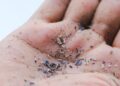 Bahaya Mikroplastik, Mengapa Kita Harus Peduli?